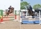 Ponies and Riders Shine in HOYS Qualifiers